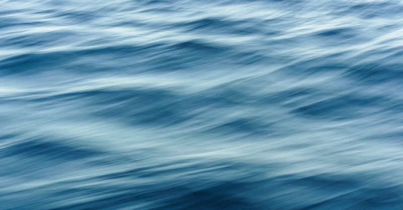 Aquatic