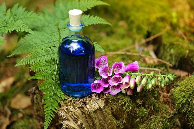 Albert Nipon Eau de Toilette: A Practical Outline