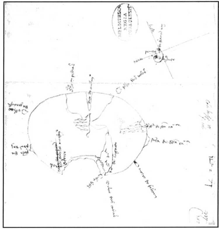 Locate Archival Codex Repositories and Access Contacts