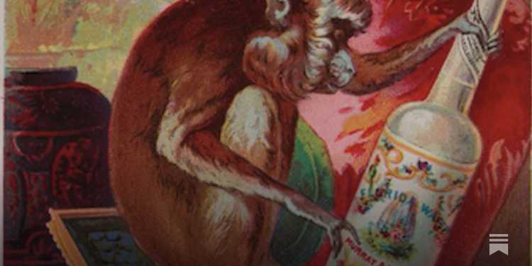 Consumer Guidance: Newsletter, Follow Us On, My Account, General, Explore, Shop, American Rose by Seely Reviews Perfume Facts