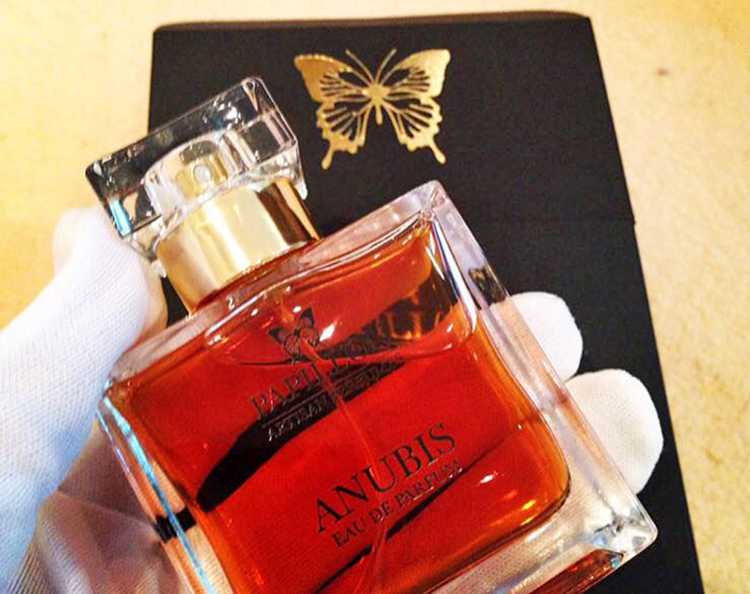 Practical Guide to a Butterfly-Inspired Niche Scent Line