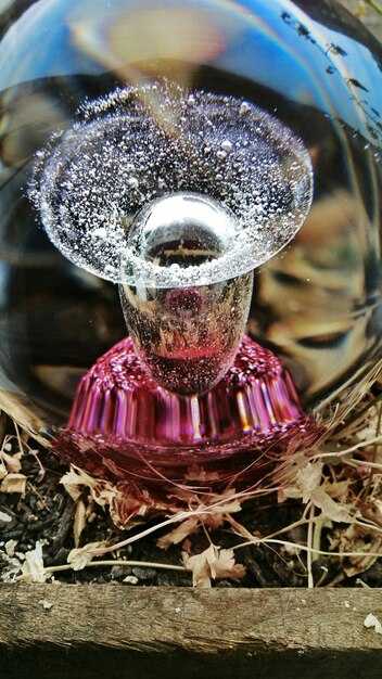 Adidas Ice Dive: Notes, Longevity & Everyday Use