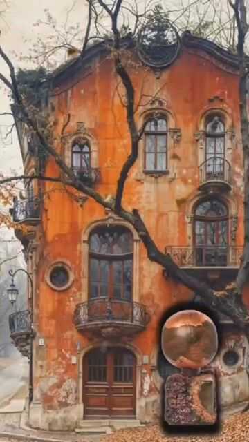 Main Accords – Performance: Sillage, Longevity, Feel