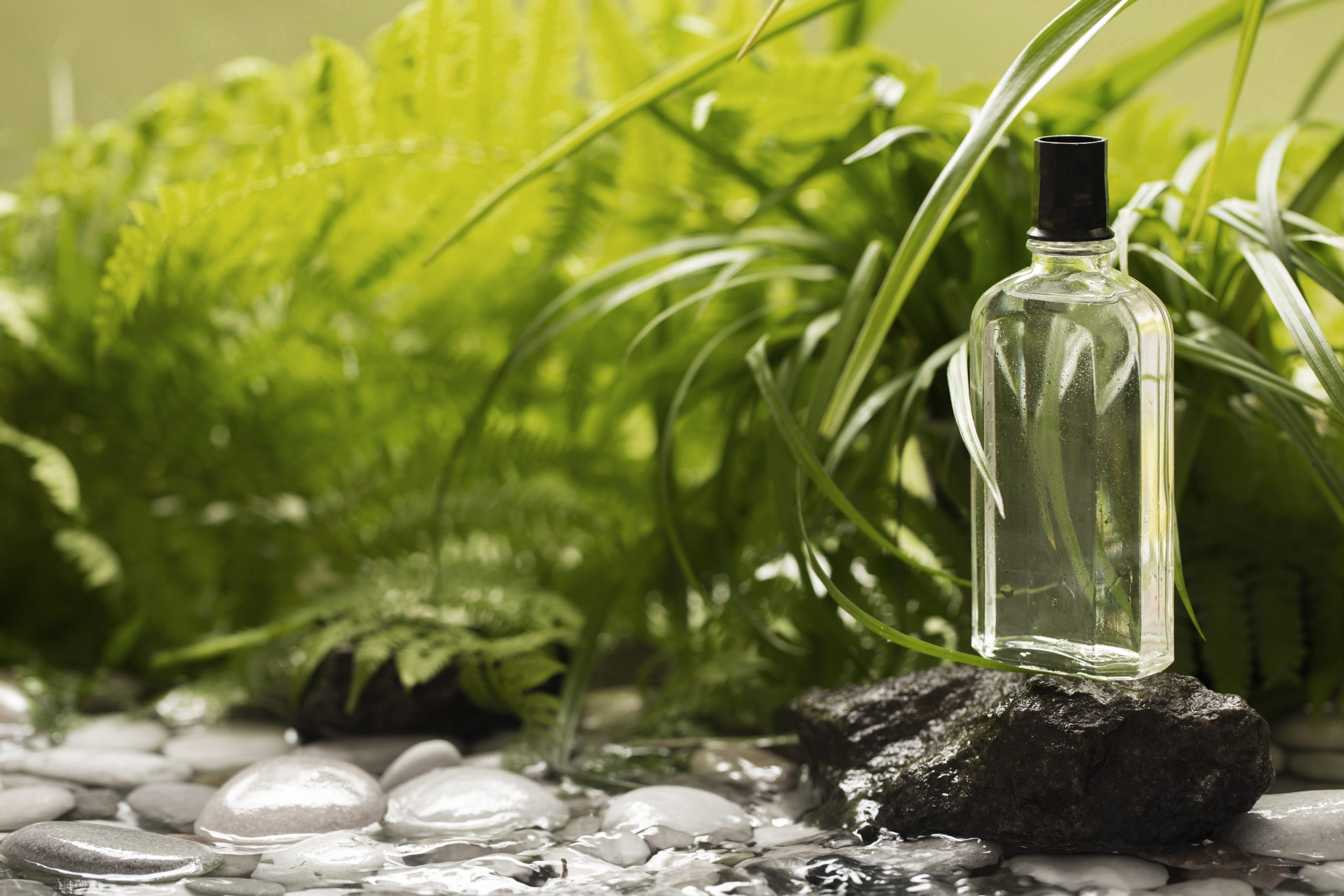 A New Trend: the Fight for the Environment. How do Famous Perfume Brands Follow it?