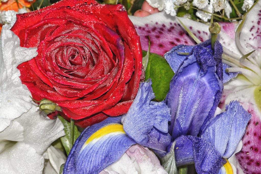 Iris and La Rose by Le Galion: Two Flowers, Two Eras
