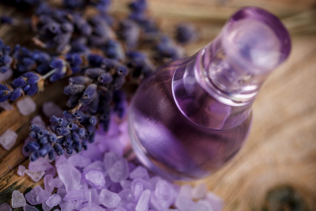 Lolita Lempicka – Perfumery that Gives Girls Care and Warmth